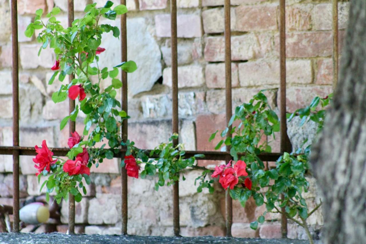 Sant'andrea Bed and breakfast